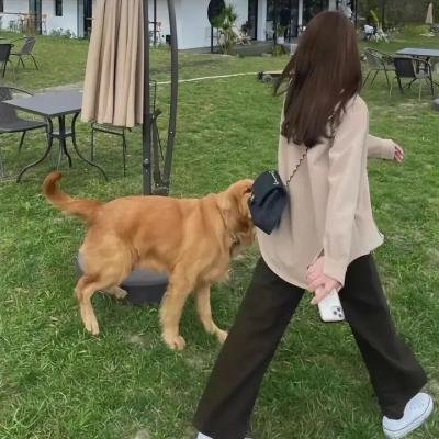 阿片战争